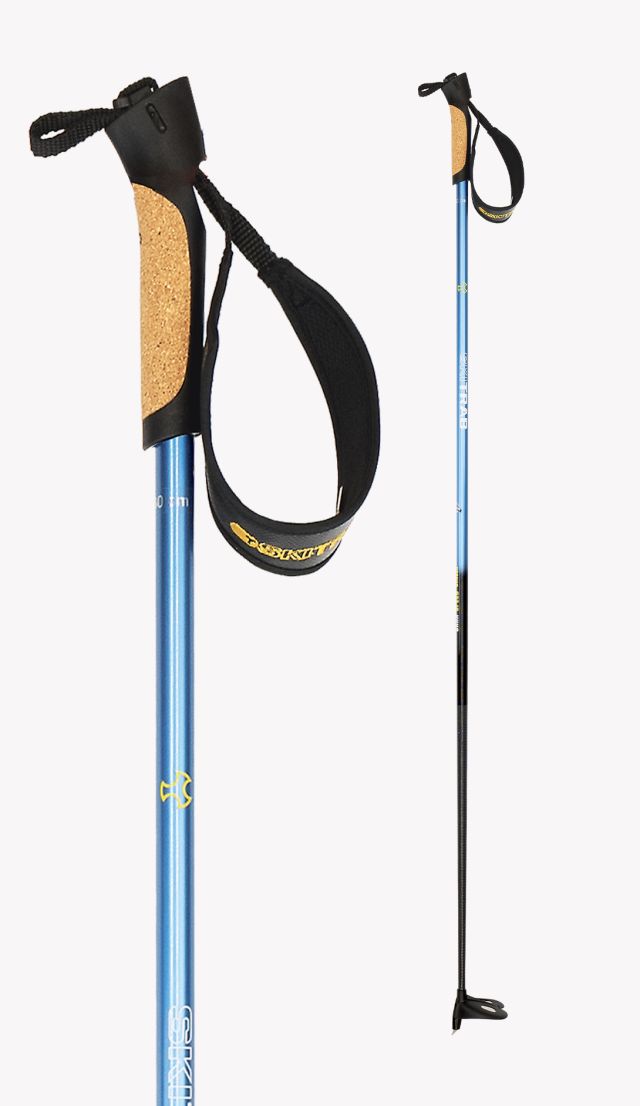 CARBON SPEED POLES